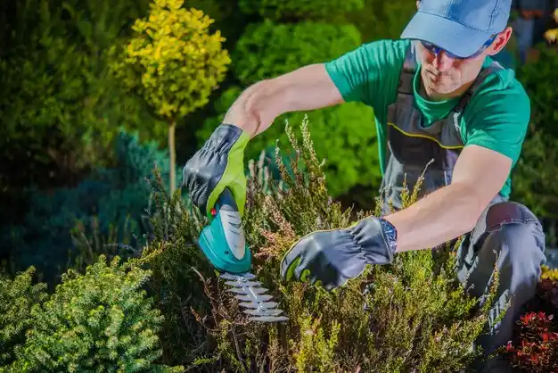 landscaping services Tunica